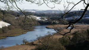 Winter scene with rowing crew on river